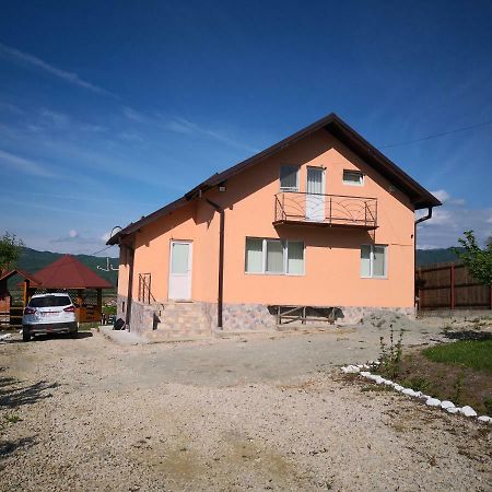 Casa De Vacanta Laurentiu Calimanesti Exterior photo
